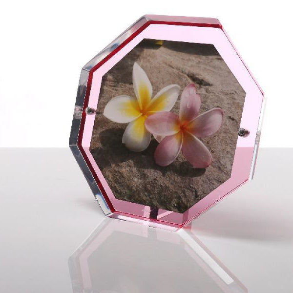 ALEXANDRA VON FURSTENBERG Bolt Snap Frame