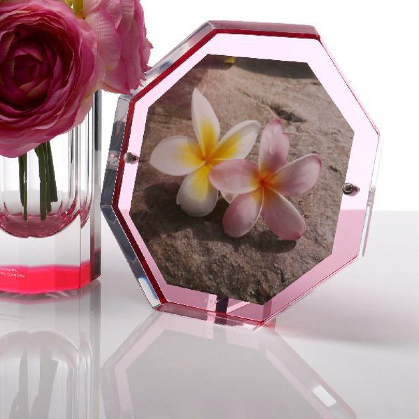 ALEXANDRA VON FURSTENBERG Bolt Snap Frame