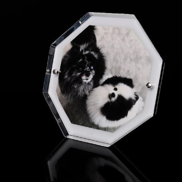 ALEXANDRA VON FURSTENBERG Bolt Snap Frame