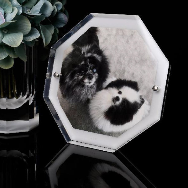 ALEXANDRA VON FURSTENBERG Bolt Snap Frame